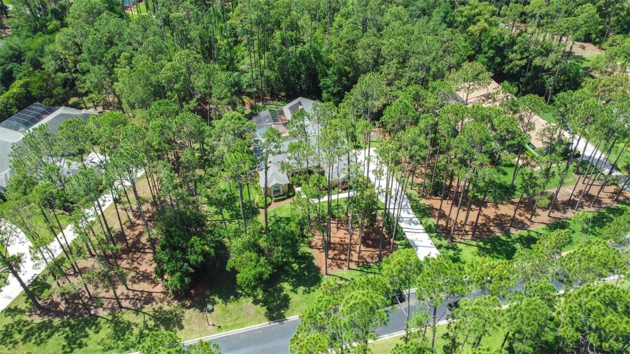 313 Pine Bluff Drive, Lutz, FL 33549 Photo
