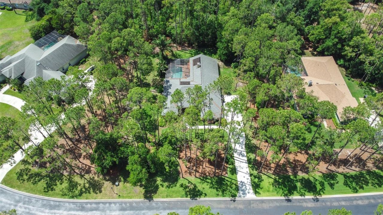313 Pine Bluff Drive, Lutz, FL 33549 Photo
