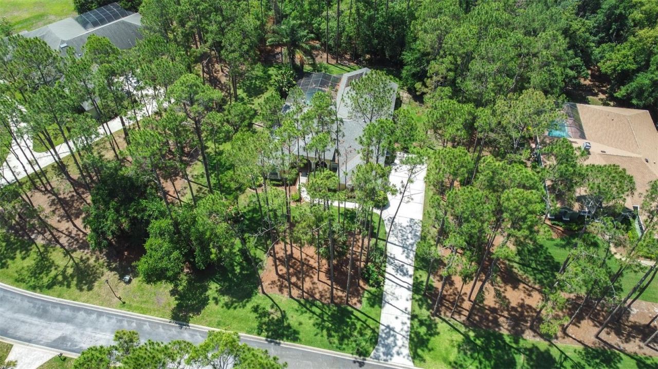 313 Pine Bluff Drive, Lutz, FL 33549 Photo