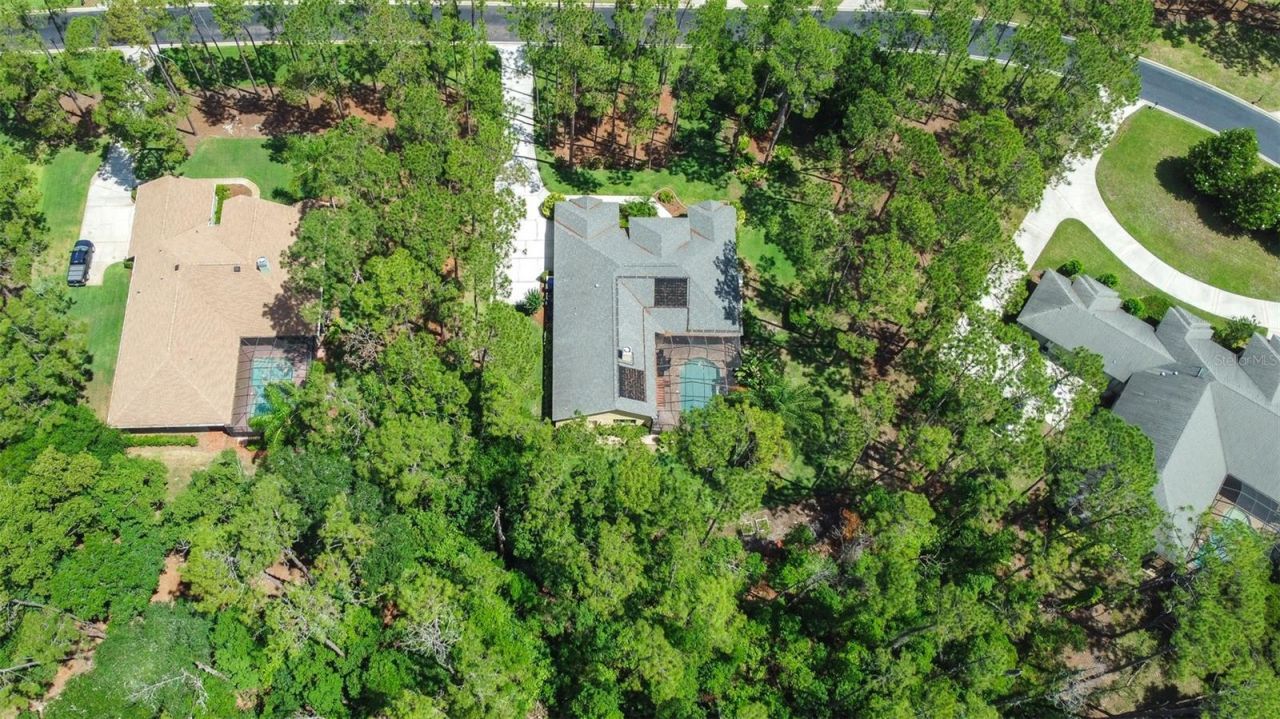 313 Pine Bluff Drive, Lutz, FL 33549 Photo