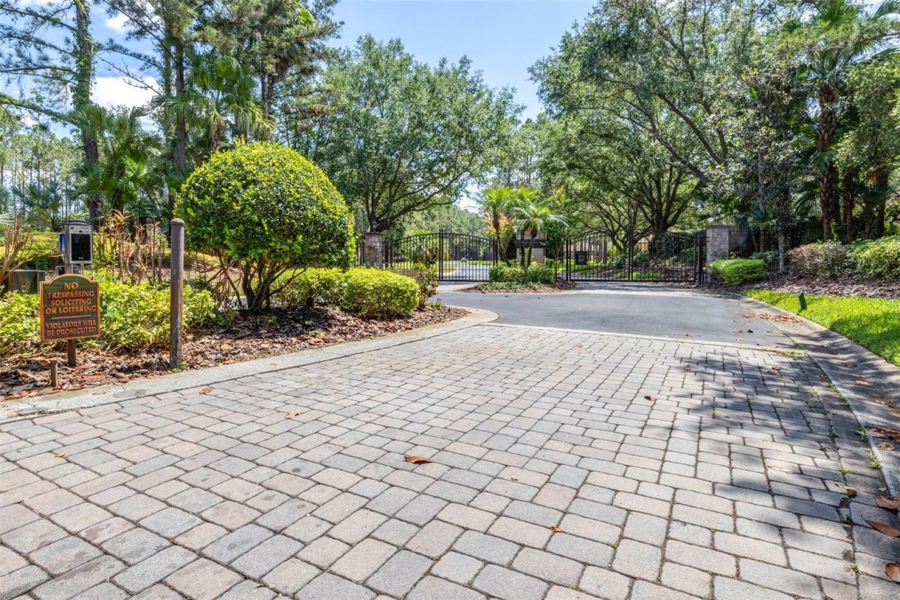 313 Pine Bluff Drive, Lutz, FL 33549 Photo