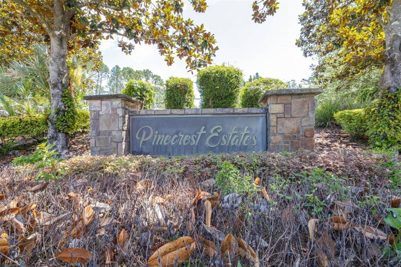 313 Pine Bluff Drive, Lutz, FL 33549 Photo