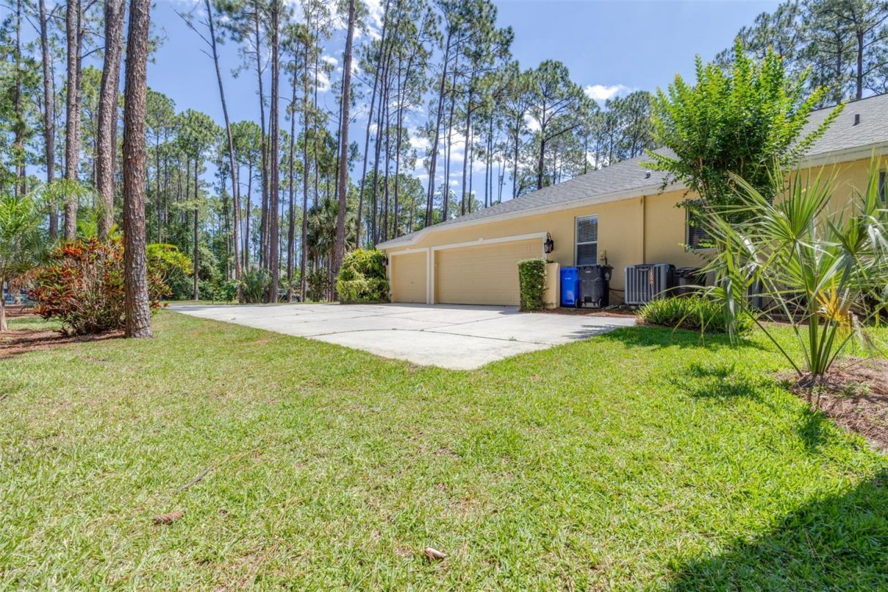 313 Pine Bluff Drive, Lutz, FL 33549 Photo