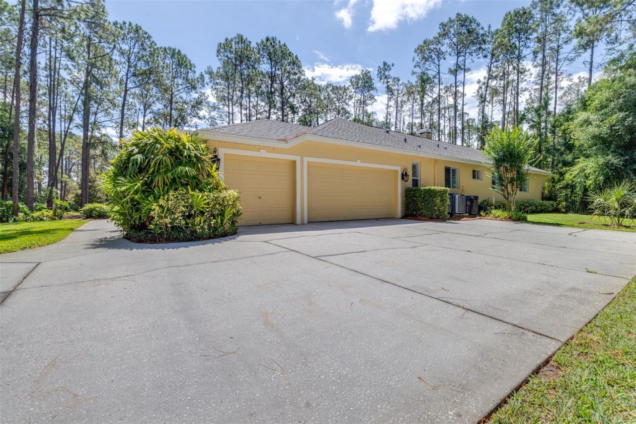 313 Pine Bluff Drive, Lutz, FL 33549 Photo