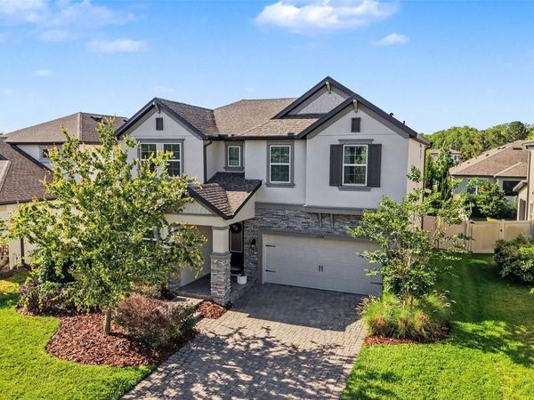 11826 GAVIN LANE , ODESSA, FL 33556