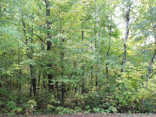 000 St Croix Trail , Taylors Falls, MN 55084