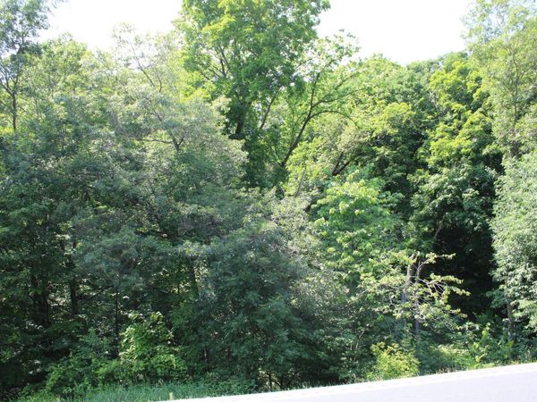000 St Croix Trail, Taylors Falls, MN 55084