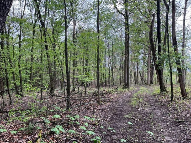 Sandy Ridge Road , Tippecanoe, OH 44699 Photo 10