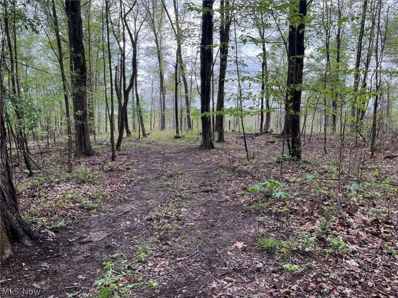 Sandy Ridge Road , Tippecanoe, OH 44699 Photo 11