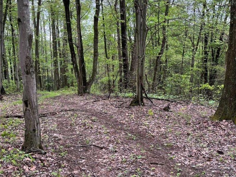 Sandy Ridge Road , Tippecanoe, OH 44699 Photo 14