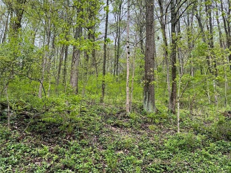 Sandy Ridge Road , Tippecanoe, OH 44699 Photo 16