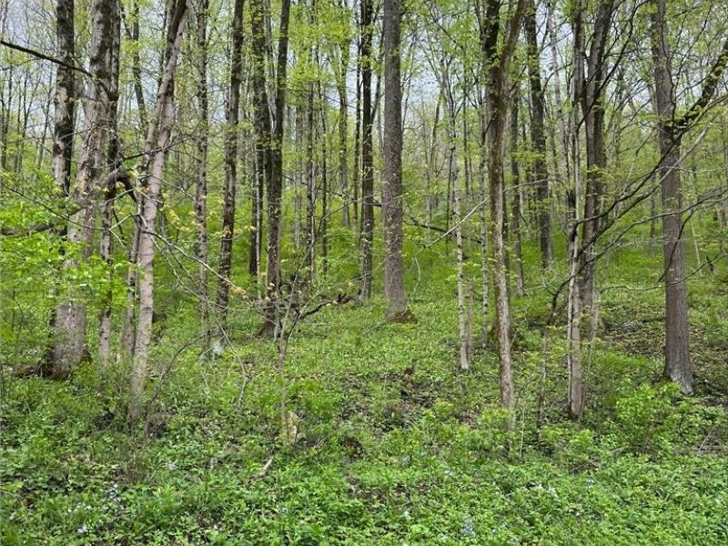 Sandy Ridge Road , Tippecanoe, OH 44699 Photo 17