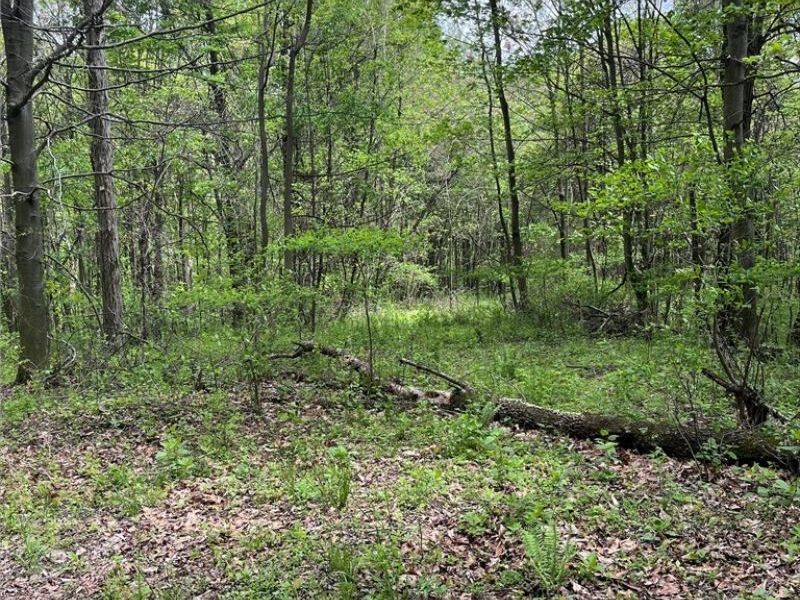 Sandy Ridge Road , Tippecanoe, OH 44699 Photo 3