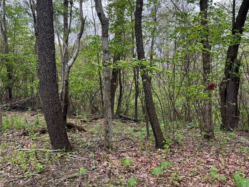 Sandy Ridge Road , Tippecanoe, OH 44699 Photo 4