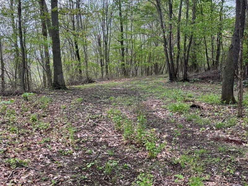 Sandy Ridge Road , Tippecanoe, OH 44699 Photo 5