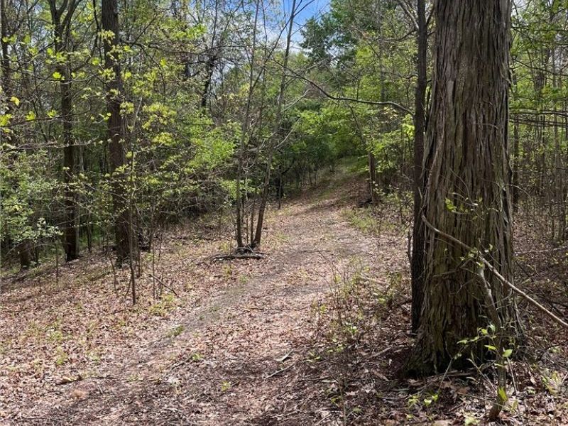 Sandy Ridge Road , Tippecanoe, OH 44699 Photo 6