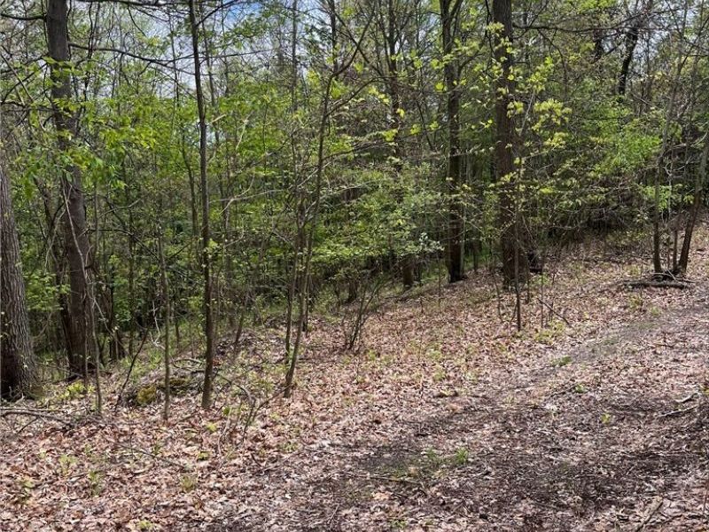Sandy Ridge Road , Tippecanoe, OH 44699 Photo 7
