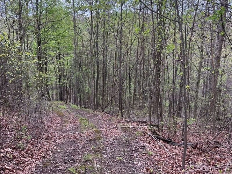 Sandy Ridge Road , Tippecanoe, OH 44699 Photo 9