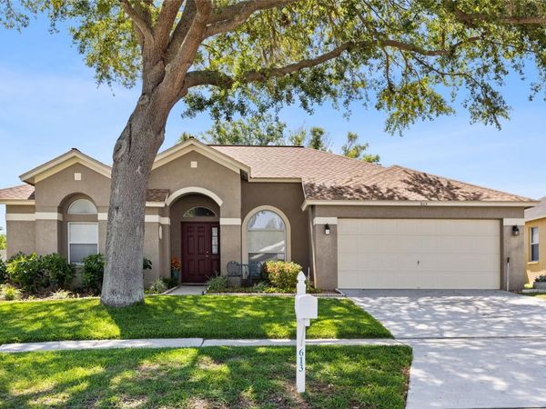 613 TUSCANNY STREET , BRANDON, FL 33511