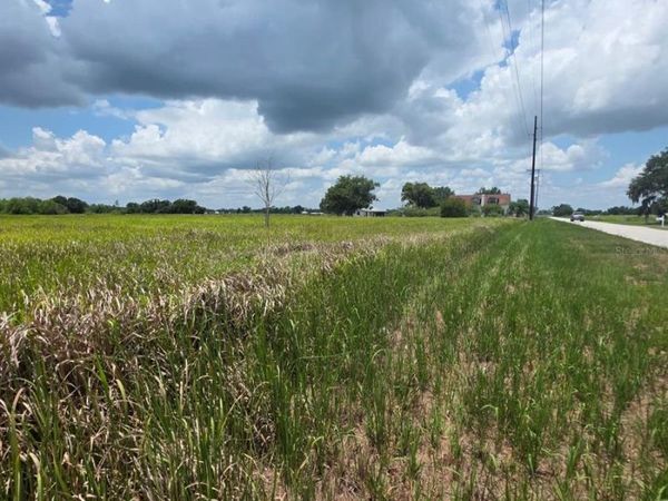 METHENY RD, PARCEL B, WAUCHULA, FL 33873