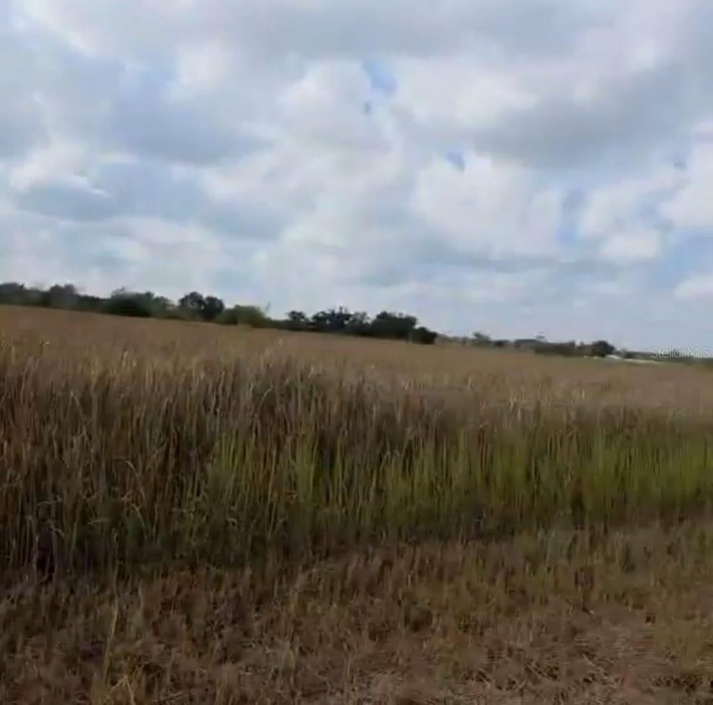 Metheny Rd, Parcel B, Wauchula, FL 33873 Photo