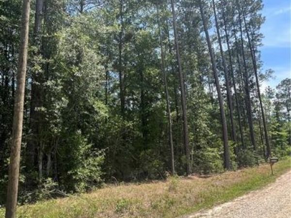 NIBLICK Street , Abita Springs, LA 70420