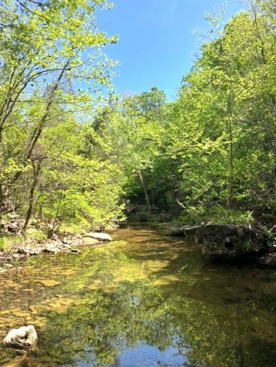 Wilderness Spring Trail., Harrison, AR 72601 Main Photo