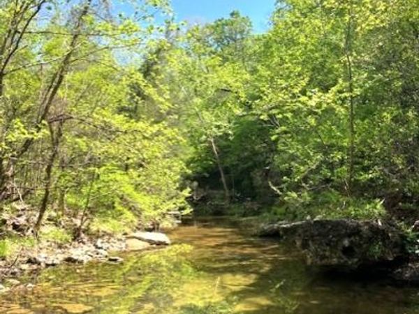 Wilderness Spring Trail., Harrison, AR 72601