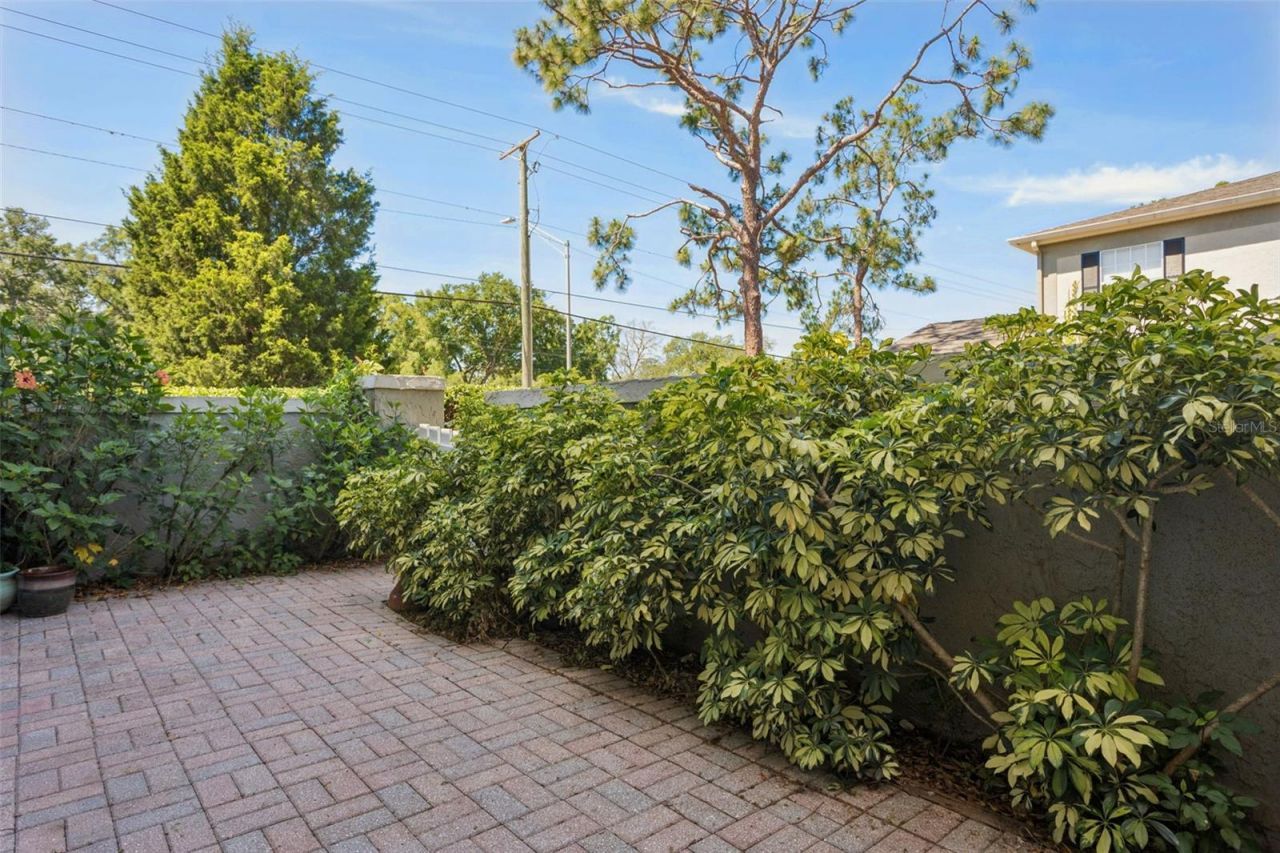 6341 Treetop Circle , Unit 6341, Temple Terrace, FL 33617 Photo