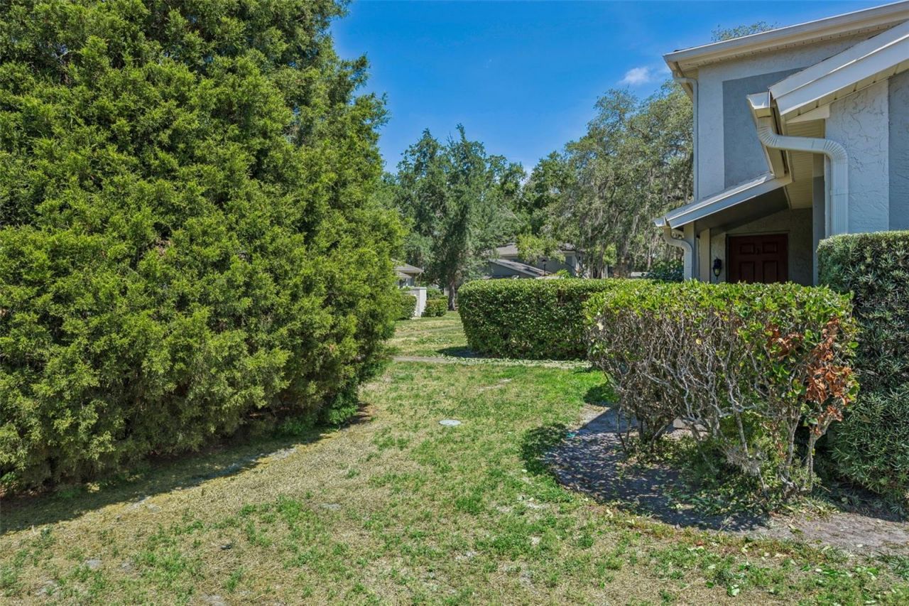 6341 Treetop Circle , Unit 6341, Temple Terrace, FL 33617 Photo