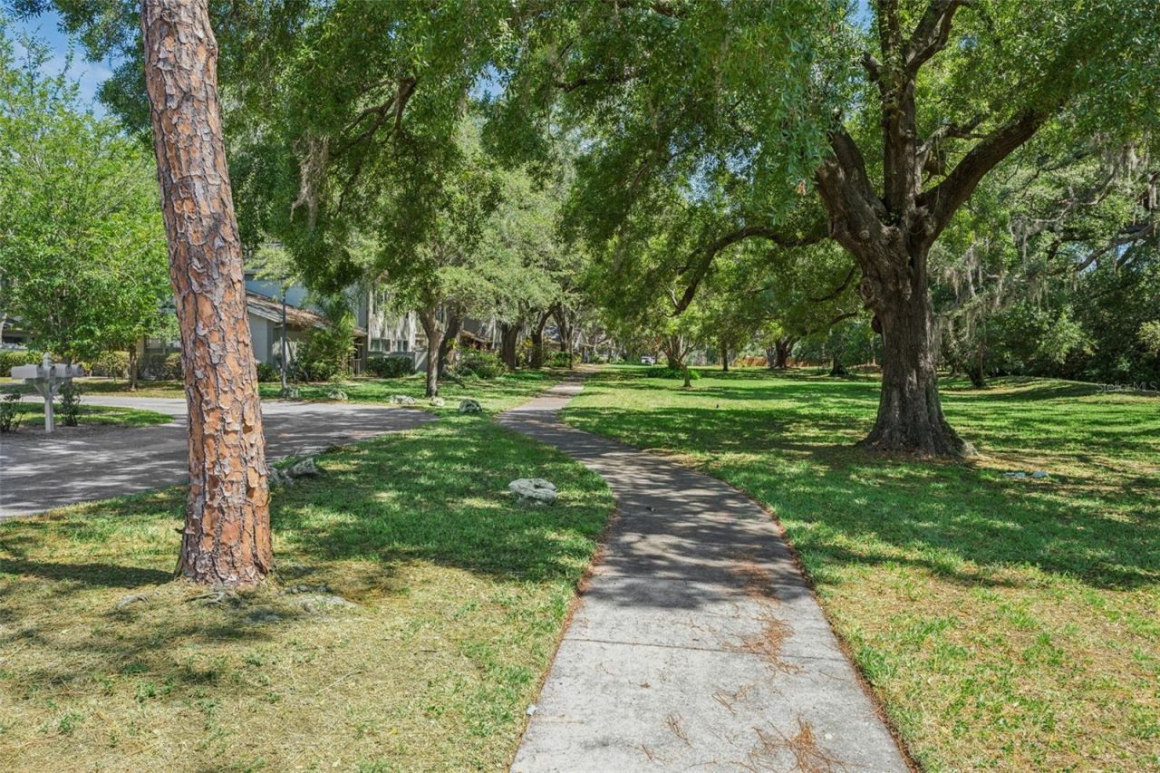 6341 Treetop Circle , Unit 6341, Temple Terrace, FL 33617 Photo