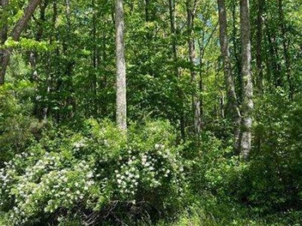 0 Sunrise Valley Road, Blue Ridge, GA 30513