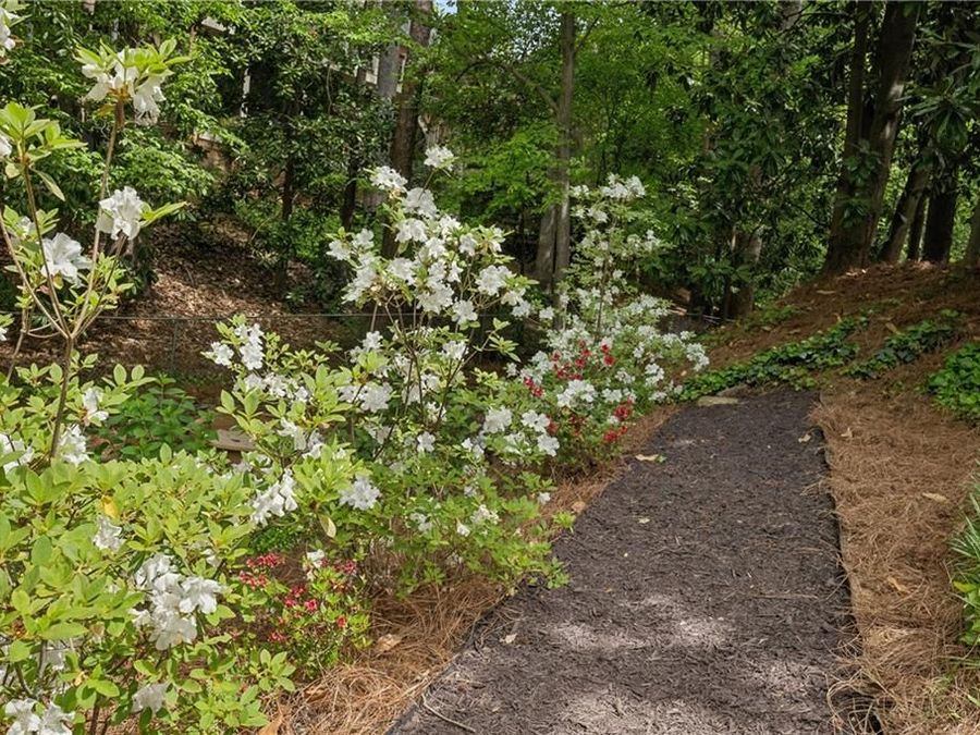 Property Image 54