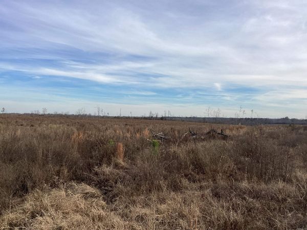 0000 Davidson Campground Road , Okolona, AR 71962