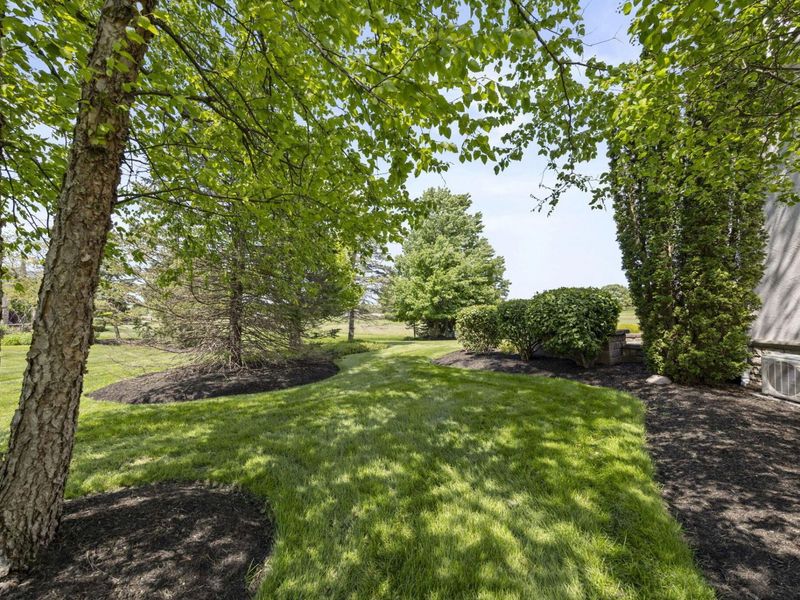 7941 Thornbush Drive, Westerville, OH 43082 Photo 101