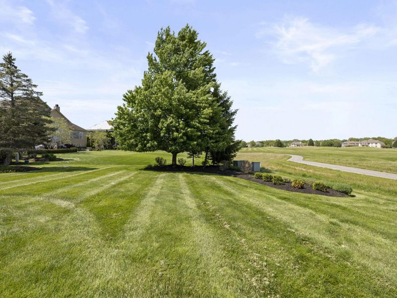 7941 Thornbush Drive, Westerville, OH 43082 Photo 103