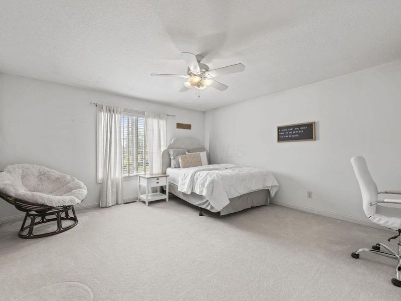 7941 Thornbush Drive, Westerville, OH 43082 Photo 62