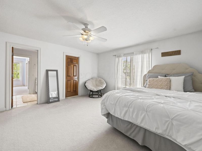 7941 Thornbush Drive, Westerville, OH 43082 Photo 63