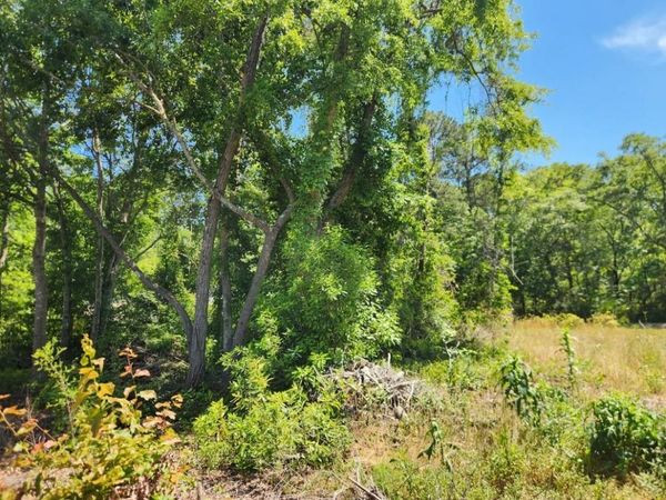 9 Ditch Digger Ln. , Murrells Inlet, SC 29576