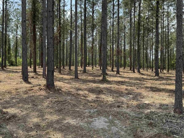0 Ronald Sanks Road, Bay Minette, AL 36507