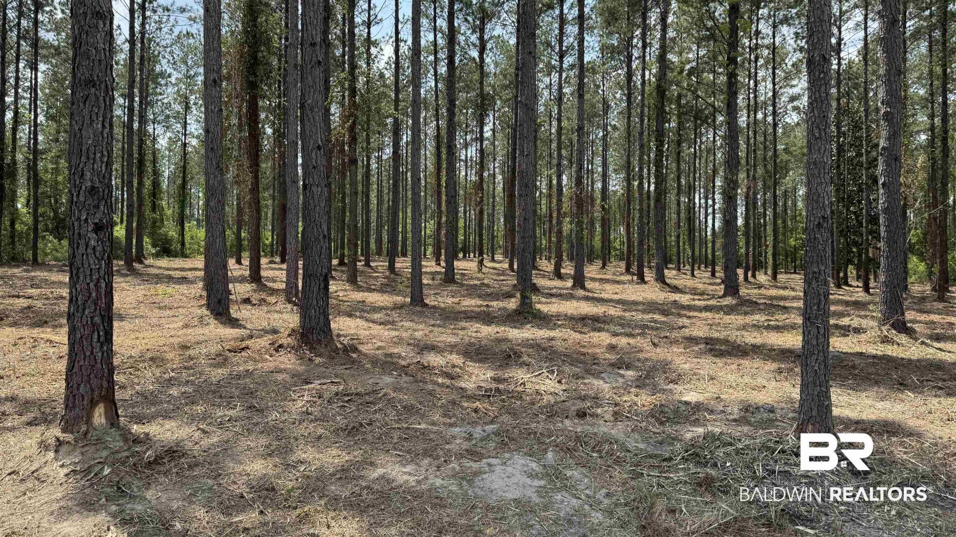 0 Ronald Sanks Road, Bay Minette, AL 36507 Main Photo