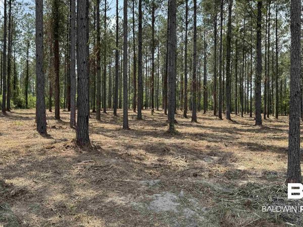 0 Ronald Sanks Road, Bay Minette, AL 36507