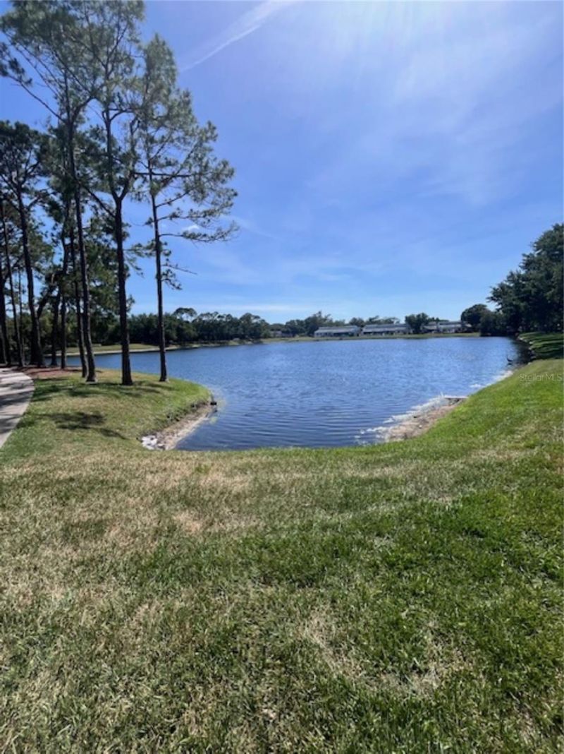 3047 Overlook Place , Clearwater, FL 33760 Photo