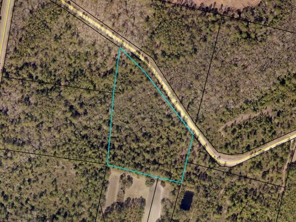 0 Browntown, Jesup, GA 31546