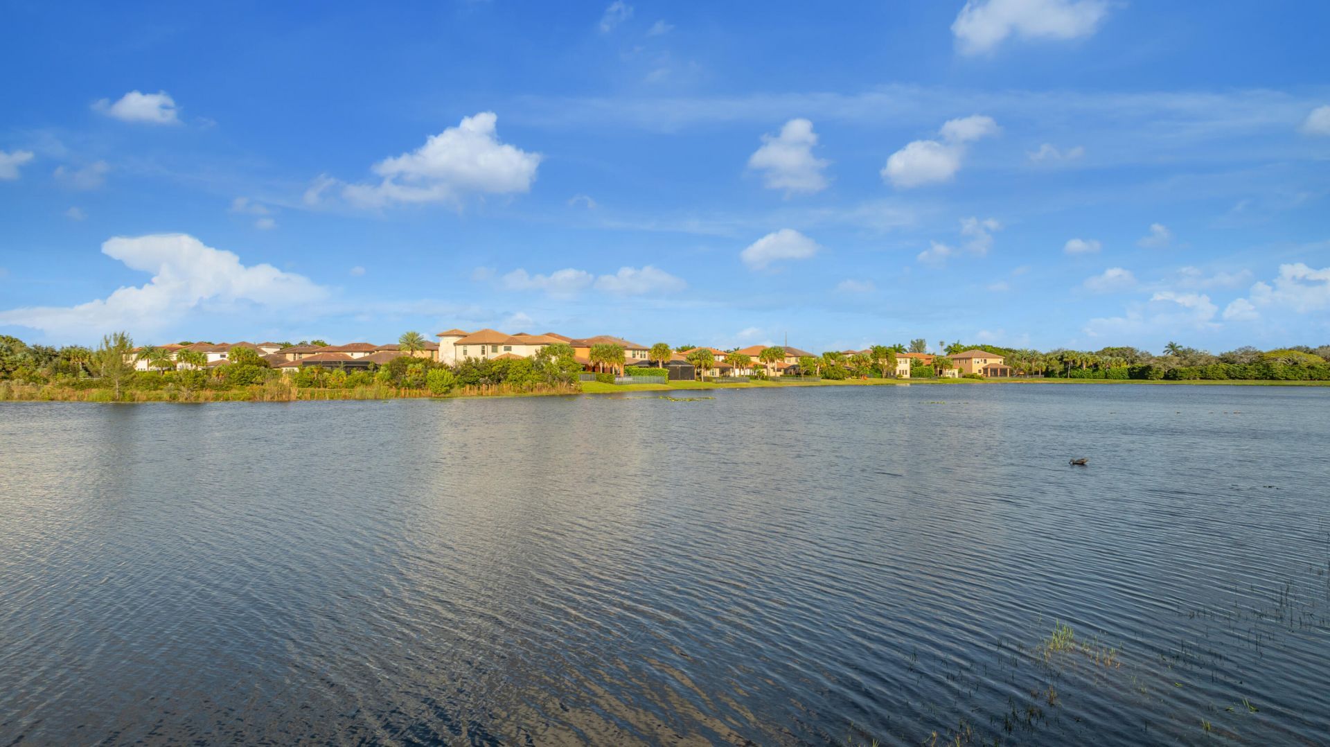 11497 NW 81st Place, Parkland, FL 33076 Photo