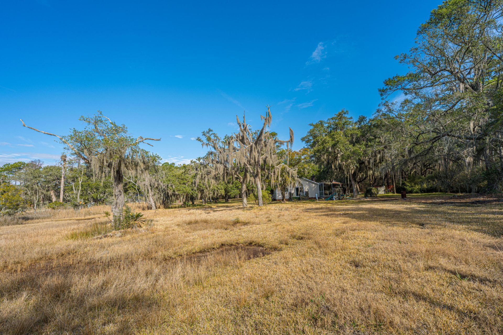 4107 Davison Road Photo 33
