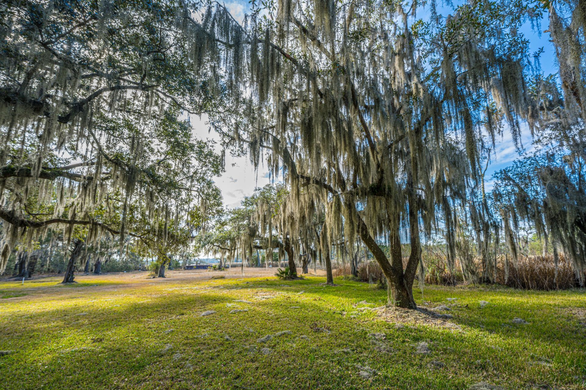 4107 Davison Road Photo 5