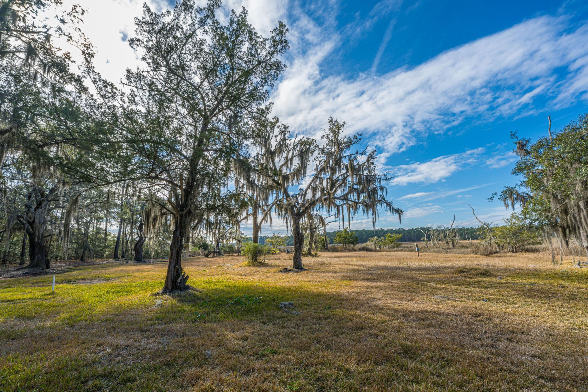 4107 Davison Road Photo 6