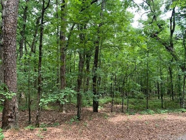 Lots 44 & 45 Lakeview Drive , Heber Springs, AR 72543