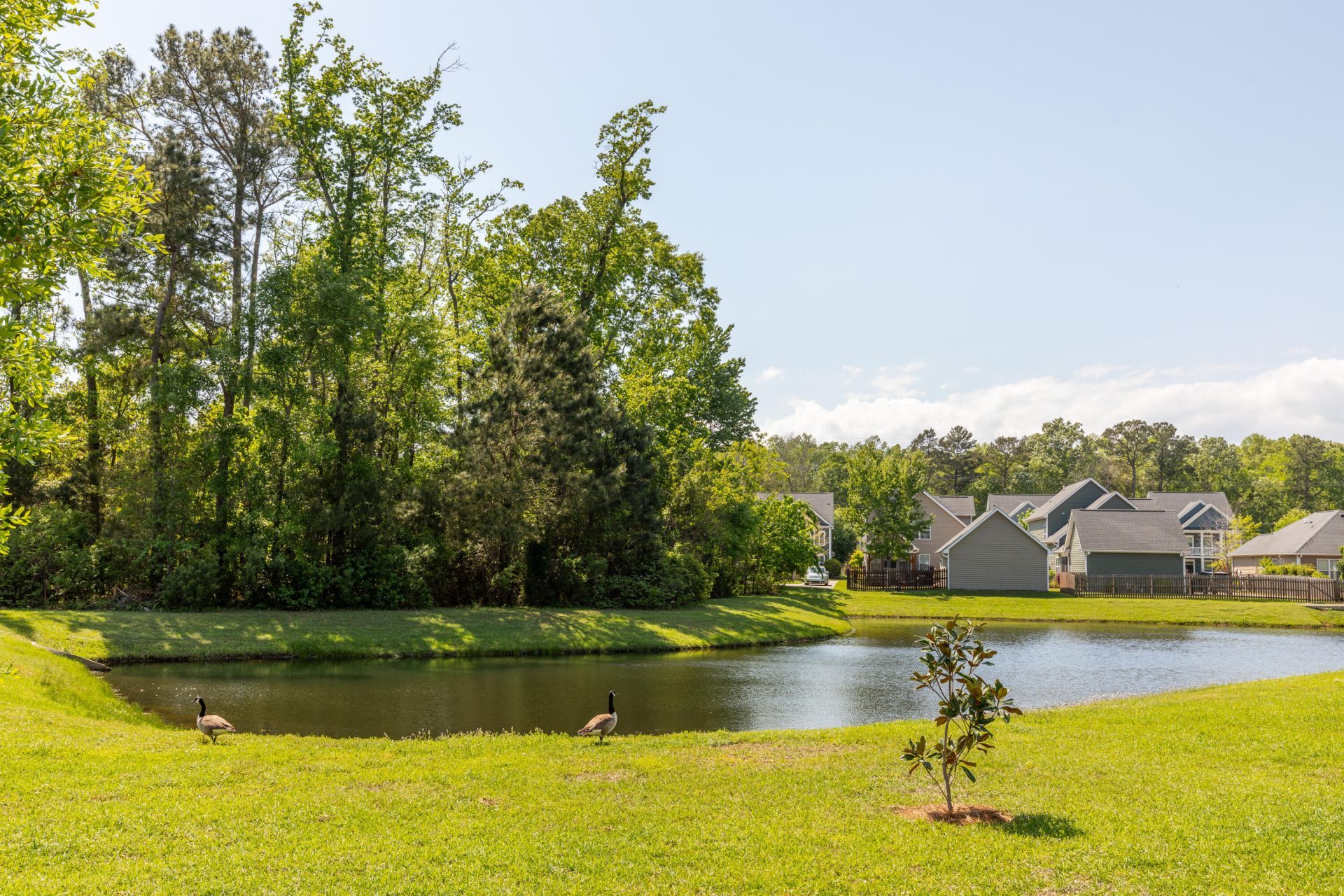 1417 Roustabout Way Photo 4